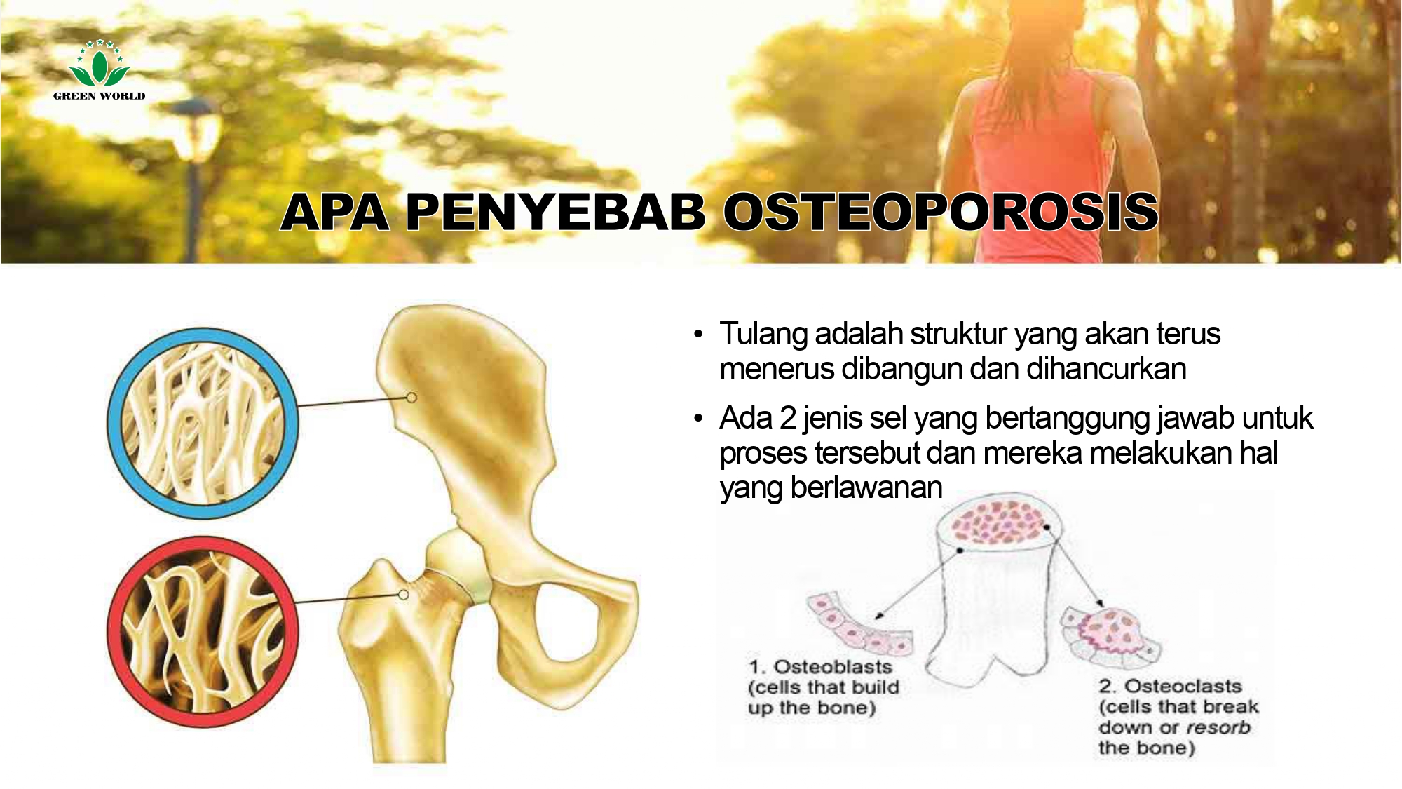 Education content image